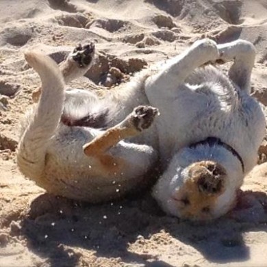Beach fun (1)