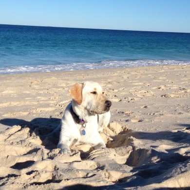 Beach fun (2)