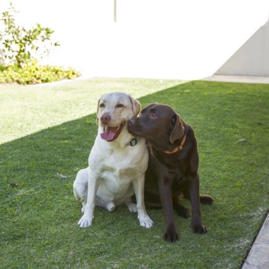 Good friends