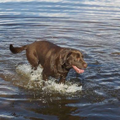 I love water