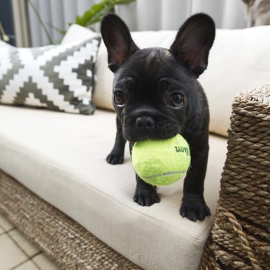 My ball is bigger than me