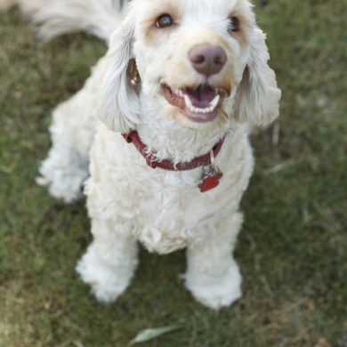 Beautiful smiling face